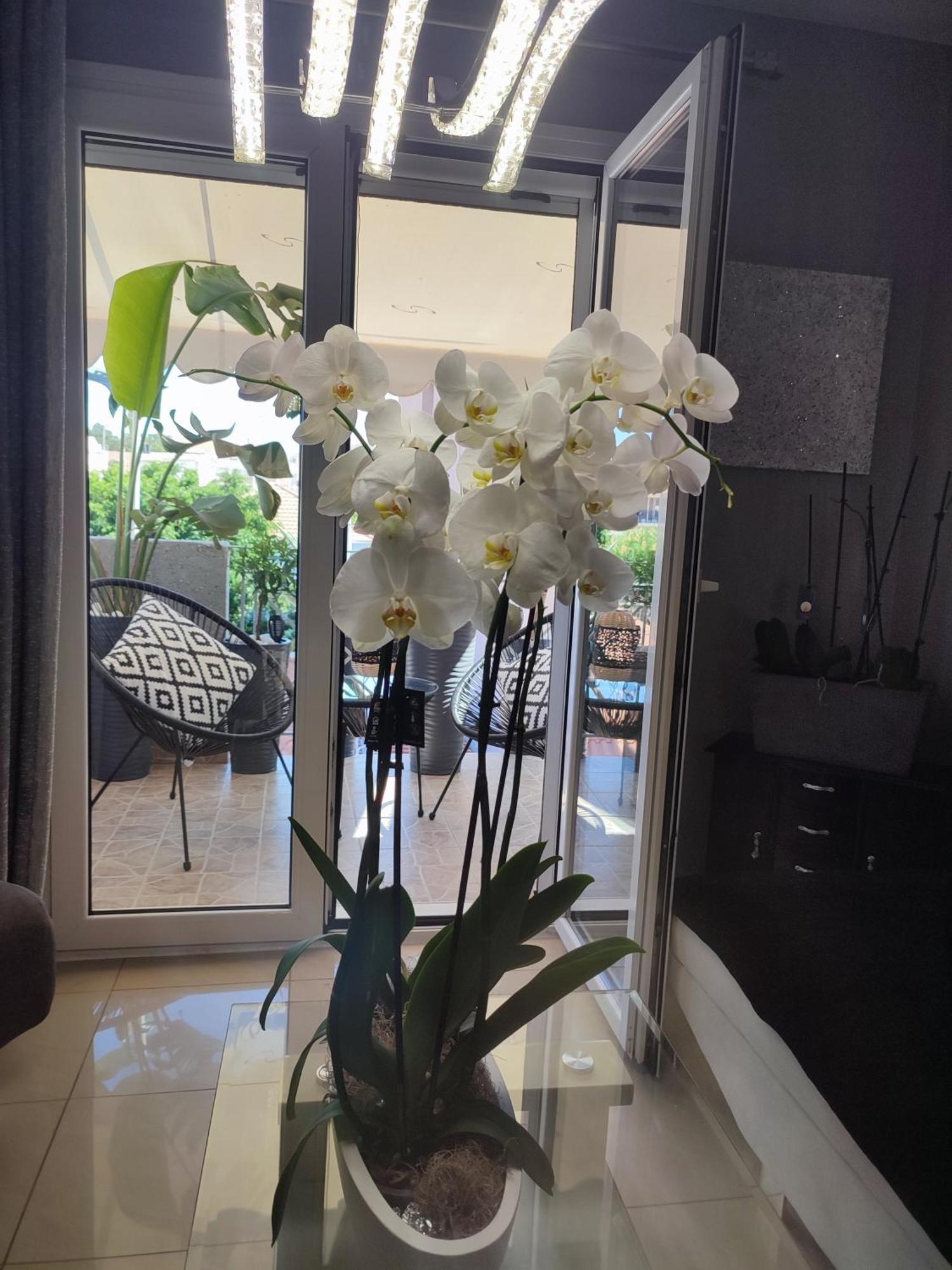Diamond City Lux Apartment Argostoli  Exterior photo